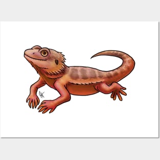 Reptile - Bearded Dragon - Red Morph Posters and Art